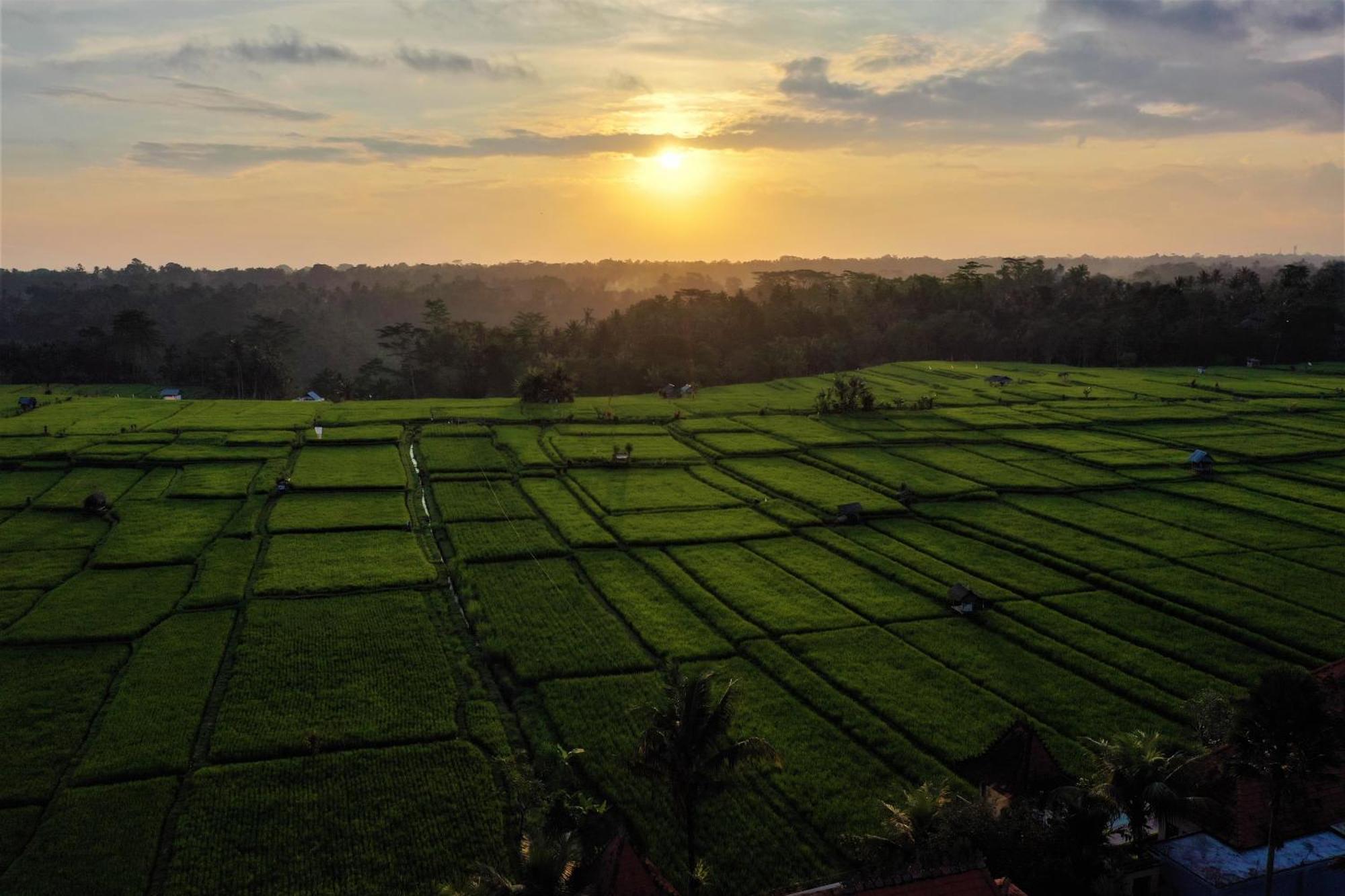 The Joglo At Umah Sunset Villa Ubud Exterior foto